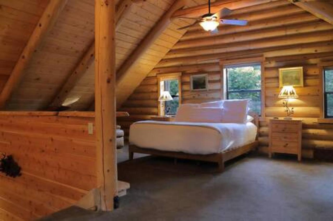 Eagles Nest - Natural Log Cabin With Guest House Idyllwild Ngoại thất bức ảnh