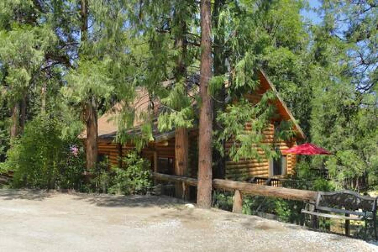 Eagles Nest - Natural Log Cabin With Guest House Idyllwild Ngoại thất bức ảnh