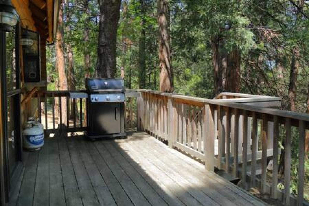 Eagles Nest - Natural Log Cabin With Guest House Idyllwild Ngoại thất bức ảnh