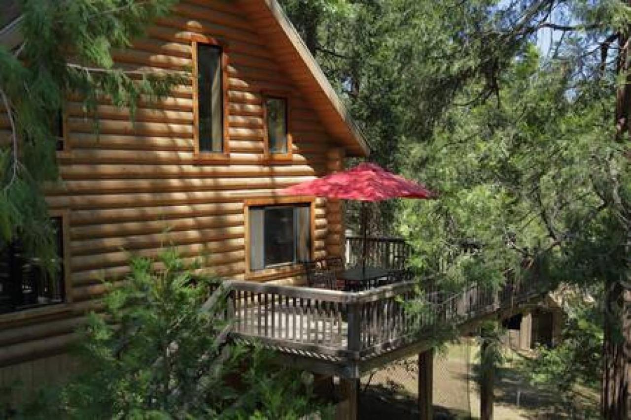 Eagles Nest - Natural Log Cabin With Guest House Idyllwild Ngoại thất bức ảnh